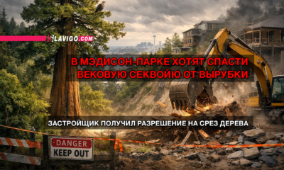 новости штата Вашингтон на slavigo.com