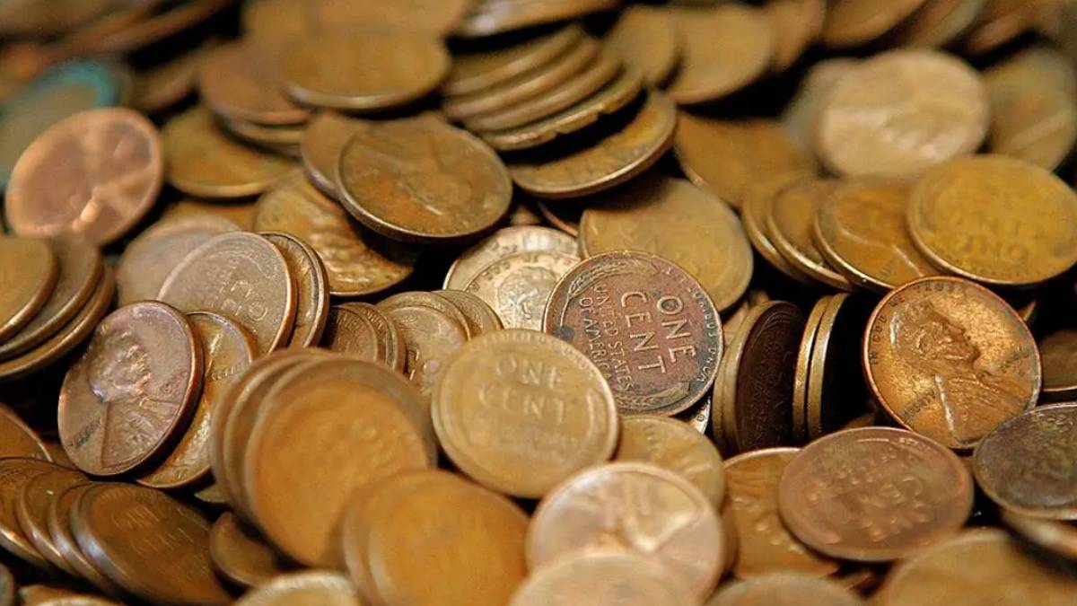 новости штата Вашингтон на slavigo.com
