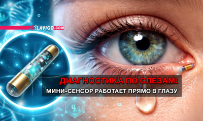 новости штата Вашингтон на slavigo.com