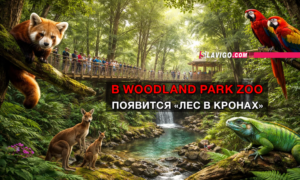 новости штата Вашингтон на slavigo.com