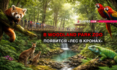 новости штата Вашингтон на slavigo.com