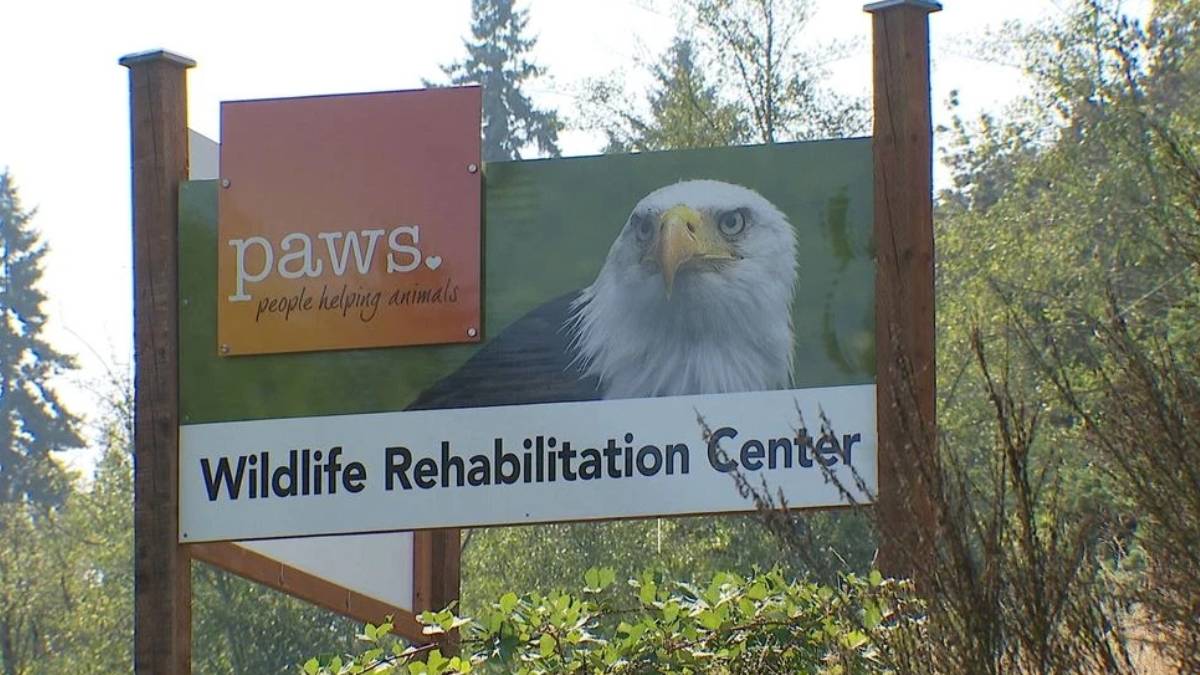 свежие новости сиетла только на slavigo.com
