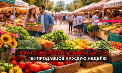 новости штата Вашингтон на slavigo.com