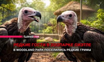 новости штата Вашингтон на slavigo.com
