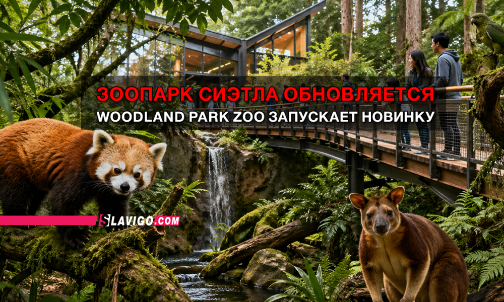 Banner announcing Seattle's Woodland Park Zoo update: red panda on a mossy log with visitors on a wooden walkway in lush greenery; overlay text reads 'ЗООПАРК СИЭТЛА ОБНОВЛЯЕТСЯ' and 'WOODLAND PARK ZOO ЗАПУСКАЕТ НОВИНКУ'.