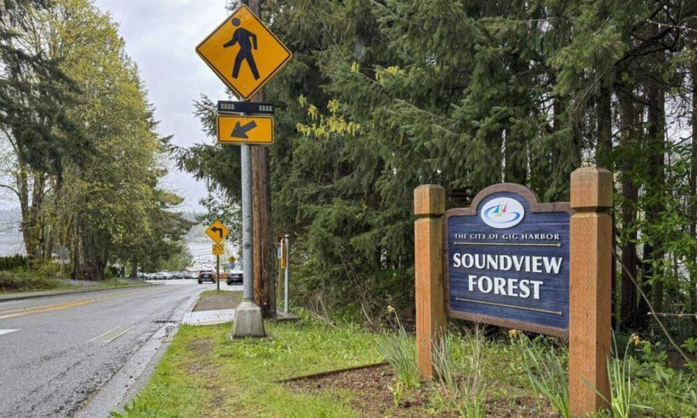Roadside scene near Soundview Forest with a yellow pedestrian crossing sign and a directional sign on a utility pole, trees in the background.
