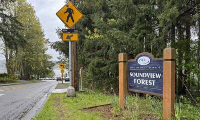 Roadside scene near Soundview Forest with a yellow pedestrian crossing sign and a directional sign on a utility pole, trees in the background.