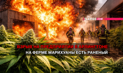 свежие новости сиетла только на slavigo.com