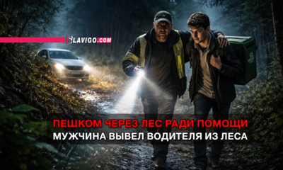 свежие новости сиетла только на slavigo.com