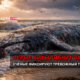 Beached gray whale on a foamy shore at sunset with seagulls; Russian news banner reads: 'Gray whales die more often' and subhead about an alarming trend.
