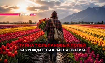 читай свежие новости Сиэтла и пригорода на slavigo.com
