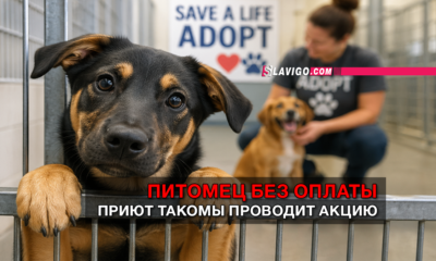 читай свежие новости Сиэтла и пригорода на slavigo.com