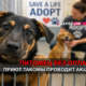читай свежие новости Сиэтла и пригорода на slavigo.com