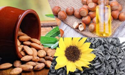 Assorted nuts and seeds collage: almonds, hazelnuts, sunflower seeds, and a bottle of oil in the background.