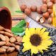 Assorted nuts and seeds collage: almonds, hazelnuts, sunflower seeds, and a bottle of oil in the background.
