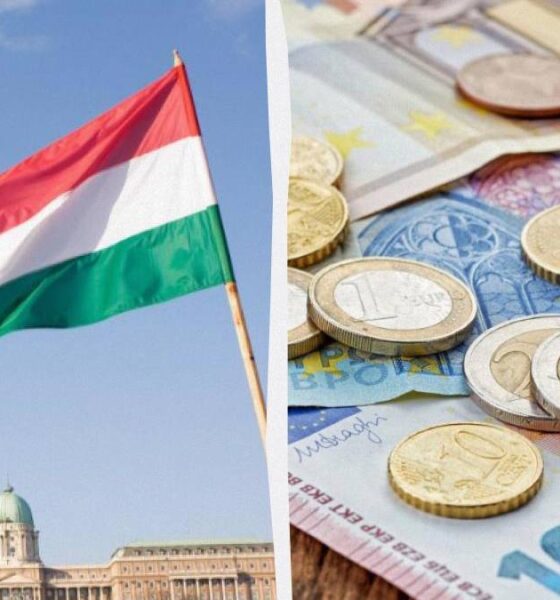 Split image: the Hungarian flag above a government building on the left, and euro coins with banknotes on the right.