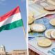 Split image: the Hungarian flag above a government building on the left, and euro coins with banknotes on the right.