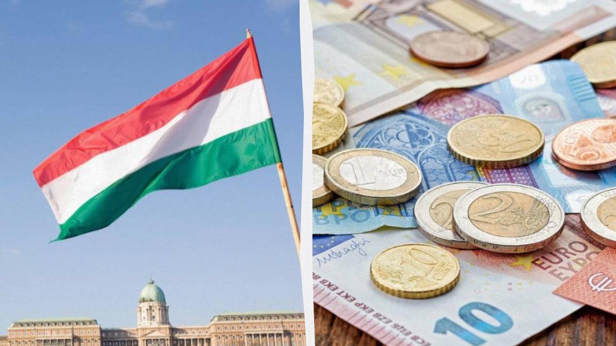 Split image: the Hungarian flag above a government building on the left, and euro coins with banknotes on the right.
