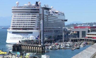 Huge white cruise ship Norwegian Encore docked at a busy harbor, with boats and a marina in the foreground and calm blue water.