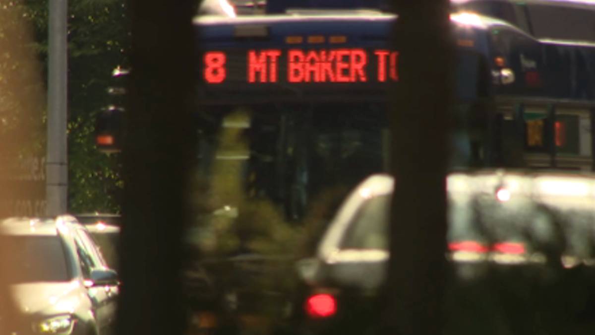 Public bus on a city street, red LED sign reads '8 MT BAKER...' visible through tree trunks in the foreground.