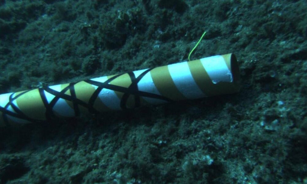 Yellow-and-white striped cylindrical object resting on a dark, rocky sea floor; appears to be an underwater man-made item.
