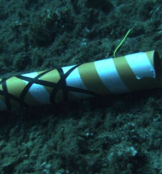 Yellow-and-white striped cylindrical object resting on a dark, rocky sea floor; appears to be an underwater man-made item.