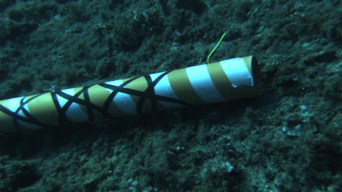 Yellow-and-white striped cylindrical object resting on a dark, rocky sea floor; appears to be an underwater man-made item.