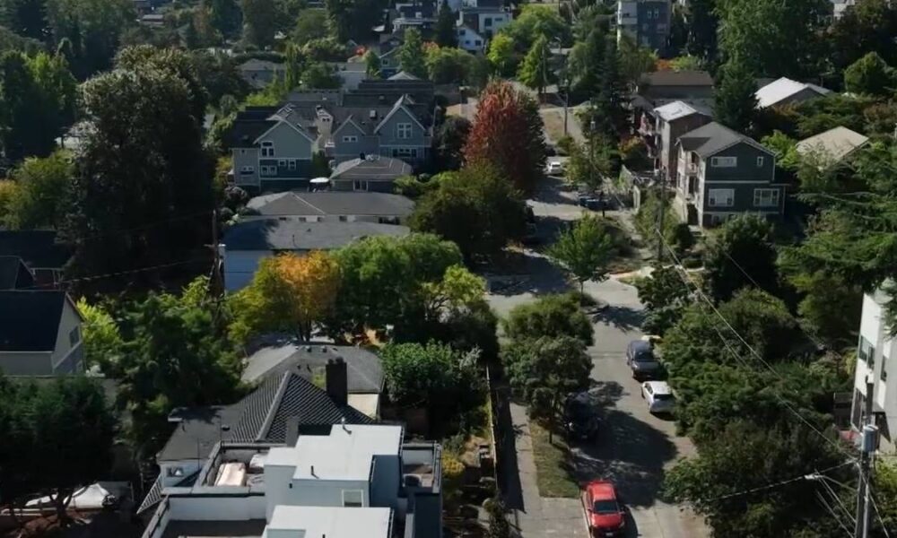 Aerial view of a tree-lined suburban street with houses and parked cars.