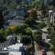Aerial view of a tree-lined suburban street with houses and parked cars.
