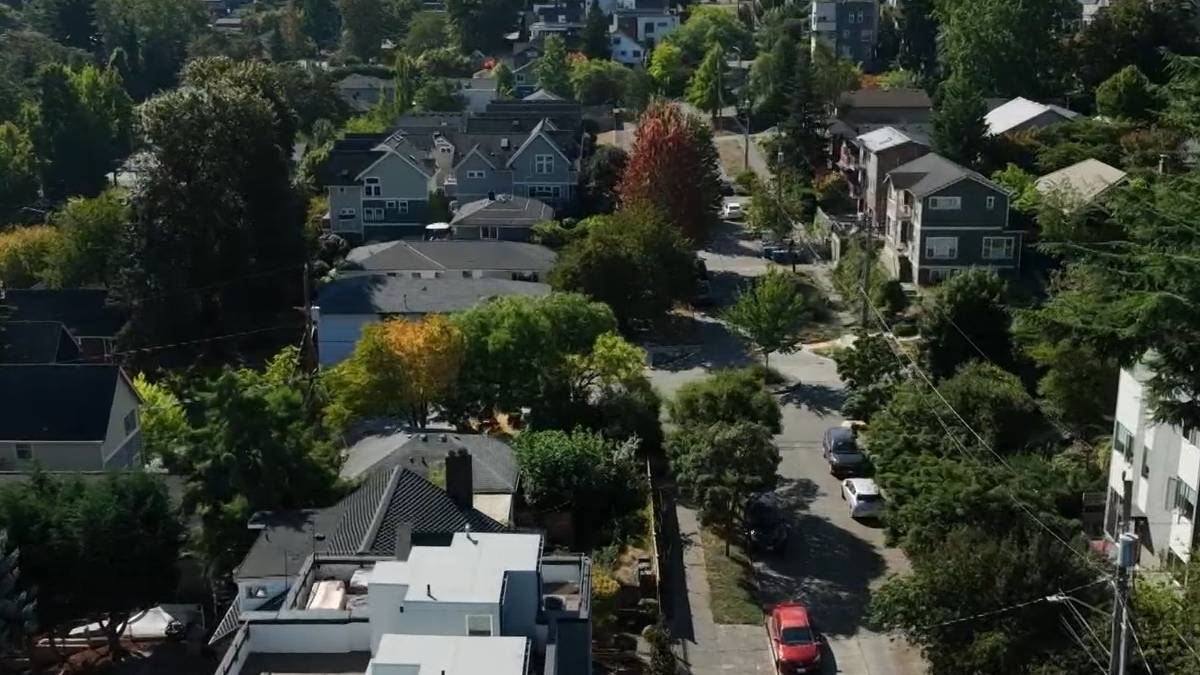 Aerial view of a tree-lined suburban street with houses and parked cars.