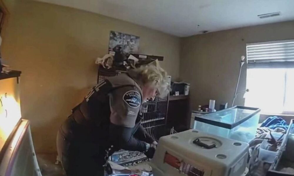 Uniformed officer kneeling in a cluttered room, opening a large pet carrier amid cages and supplies.