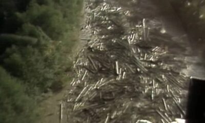 Pile of cut logs stacked along a dirt road on a forested hillside.