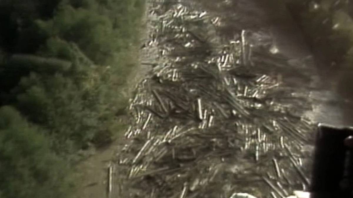 Pile of cut logs stacked along a dirt road on a forested hillside.