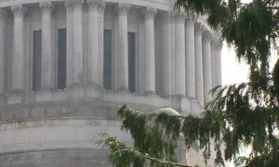 White marble building with a row of tall classical columns, partially obscured by green tree branches in the foreground.