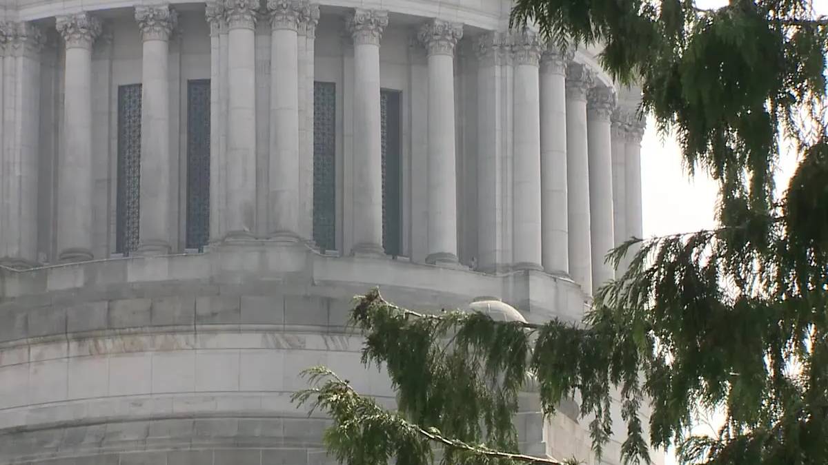 White marble building with a row of tall classical columns, partially obscured by green tree branches in the foreground.