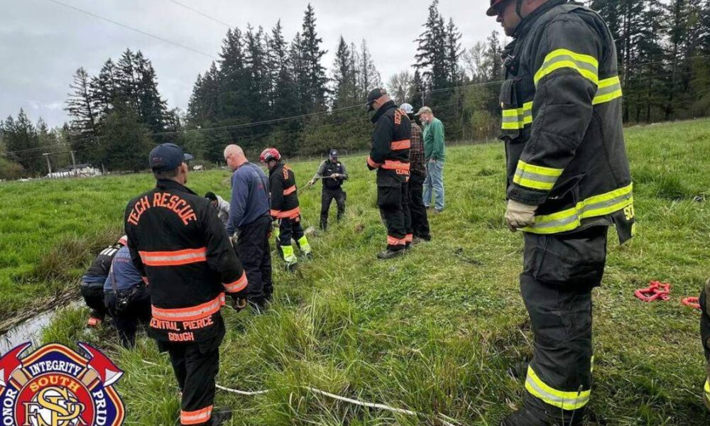 Firefighters in turnout gear line a grassy ditch for a water rescue drill, with ropes and equipment nearby.