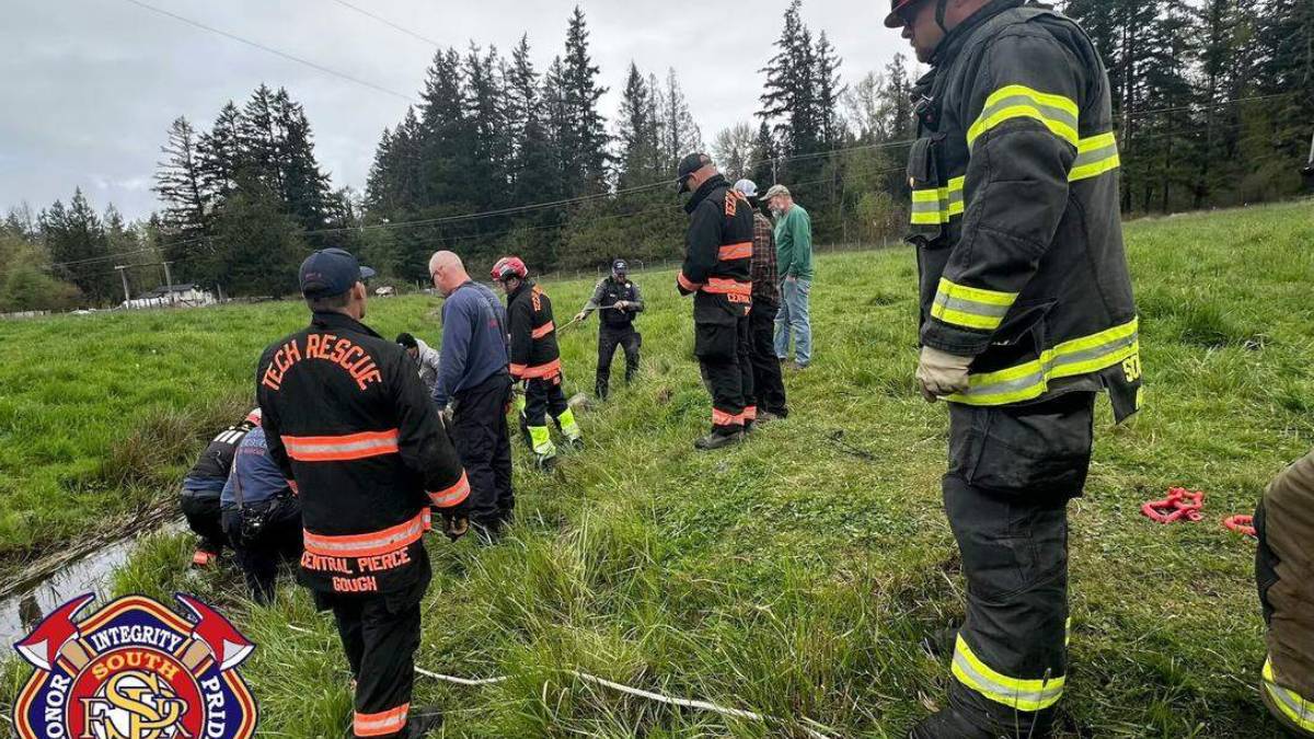 Firefighters in turnout gear line a grassy ditch for a water rescue drill, with ropes and equipment nearby.