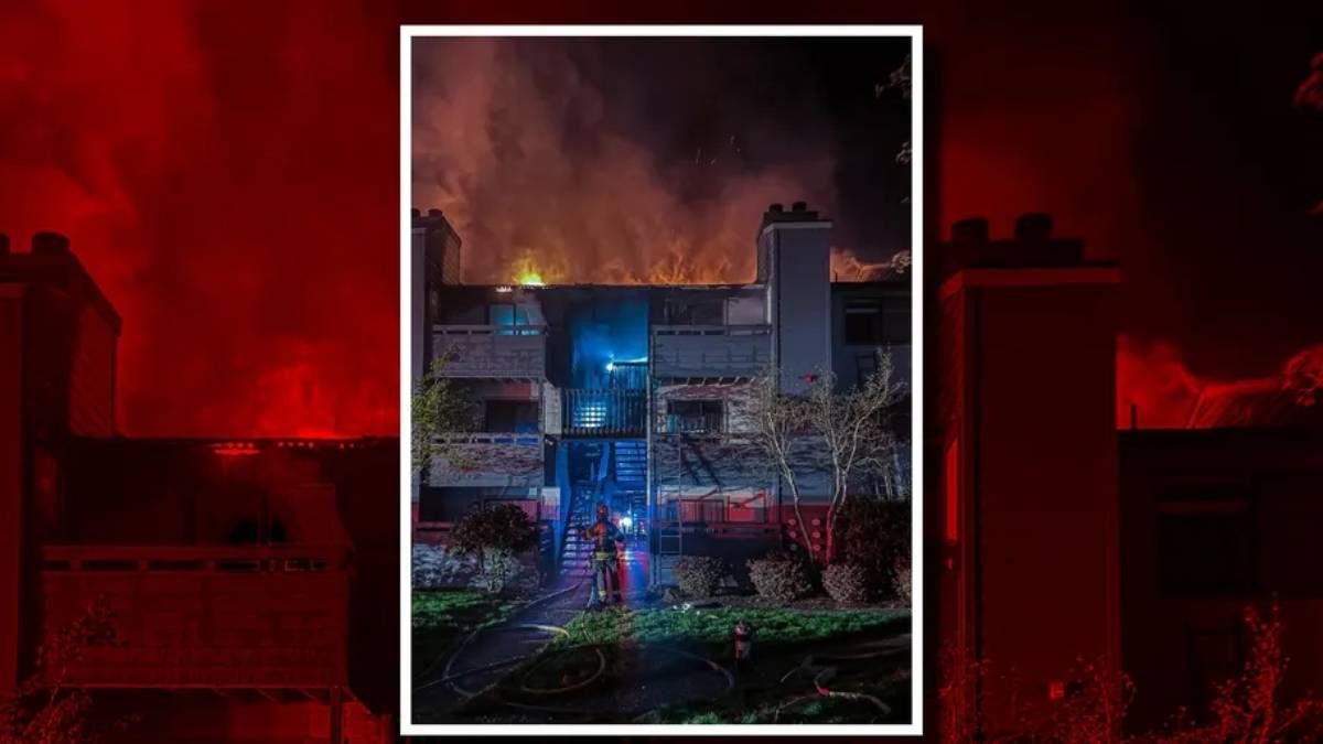 новости штата Вашингтон на slavigo.com

