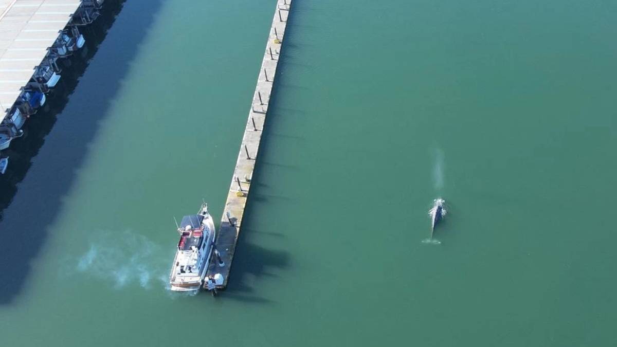 свежие новости сиетла только на slavigo.com
