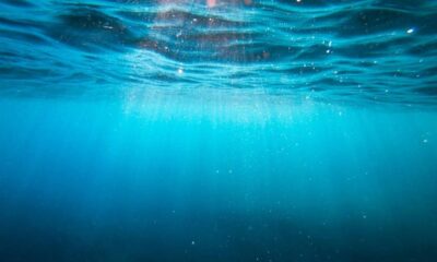 Underwater view looking up at the sunlit blue surface, with light beams piercing the water and small bubbles or particles in the water.