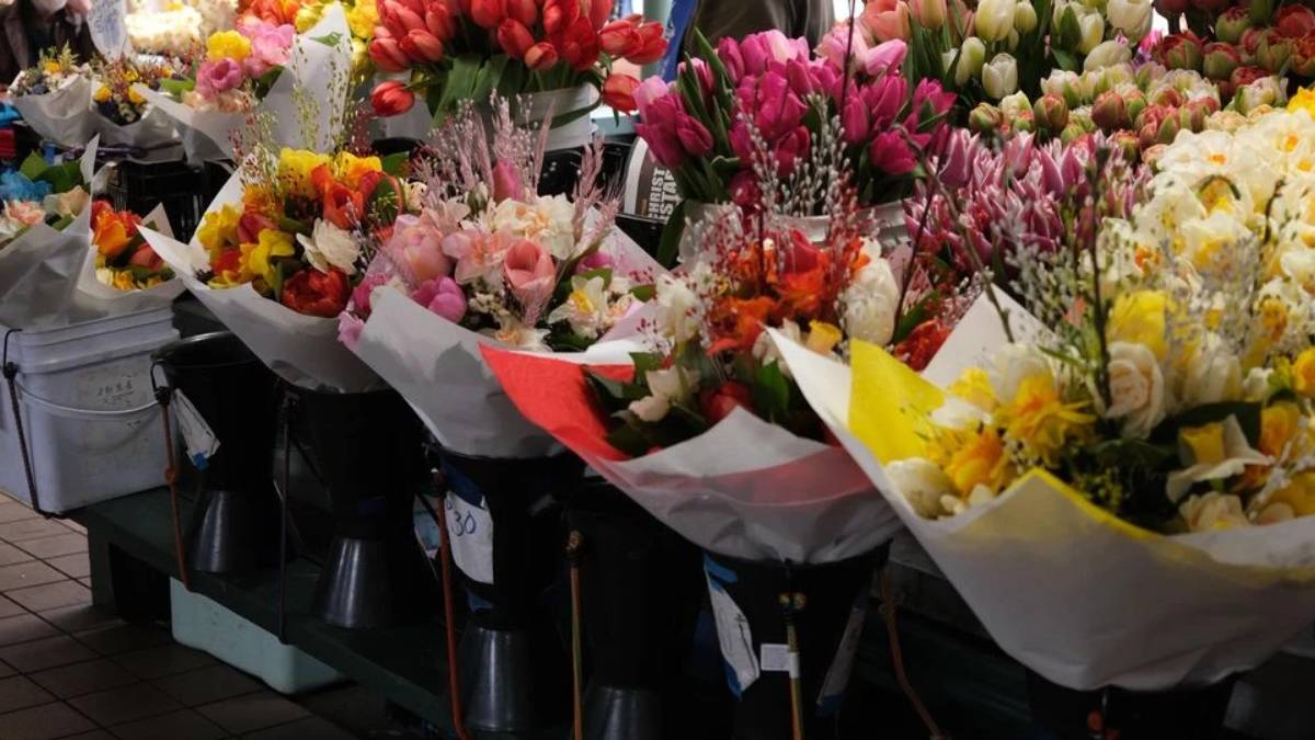 новости штата Вашингтон на slavigo.com
