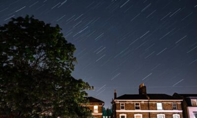 Night scene of a tree and brick houses under a star-trail sky with long-exposure star streaks above a quiet street.