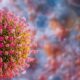 Close-up of a coronavirus particle with pink spike proteins against a blurred background, illustrating the virus structure.