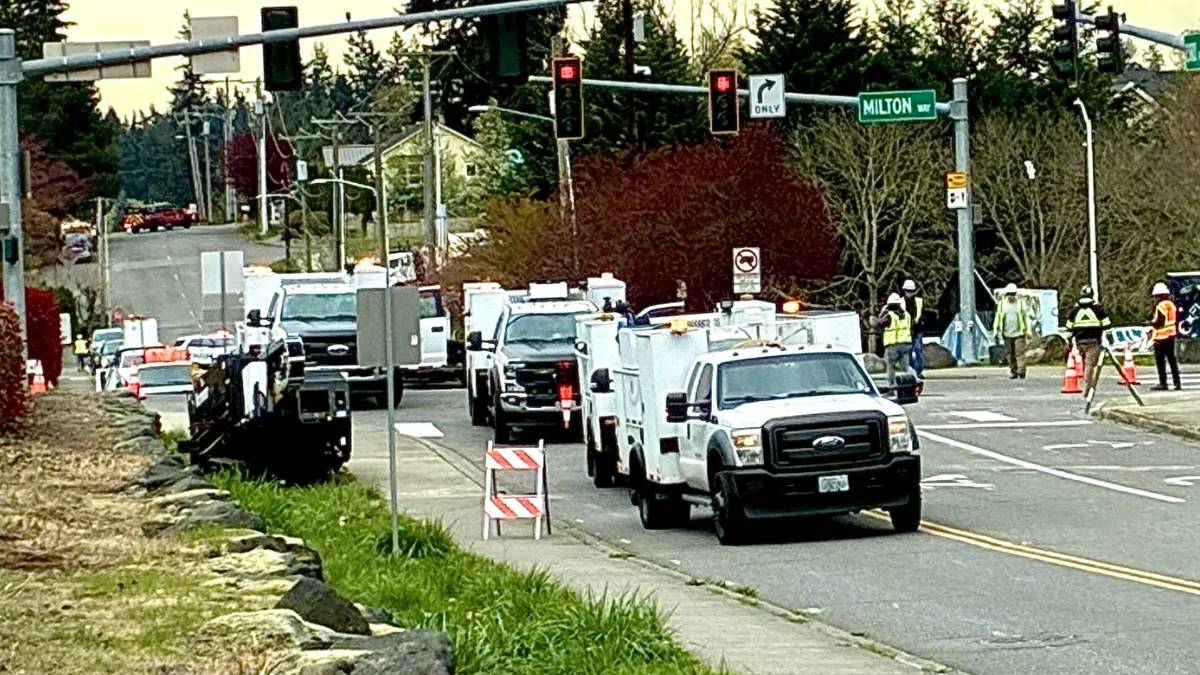 новости штата Вашингтон на slavigo.com
