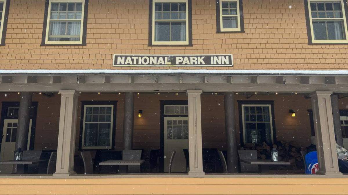 свежие новости сиетла только на slavigo.com
