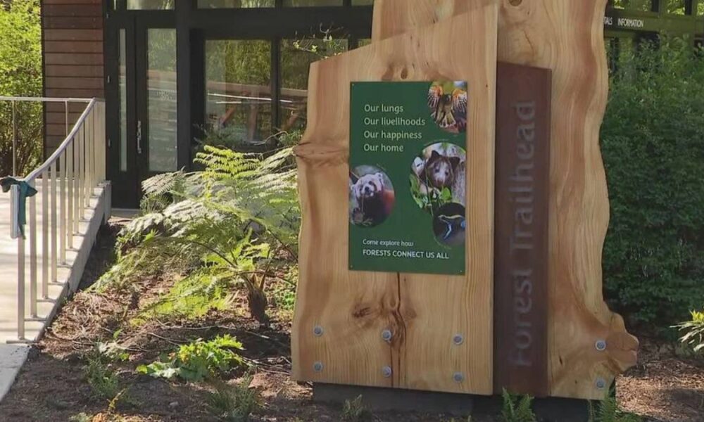Wooden sculpture with a green poster about forests connecting us all; phrases include 'Our lungs' and 'Our happiness'. Outside a building entrance with a ramp visible to the left.