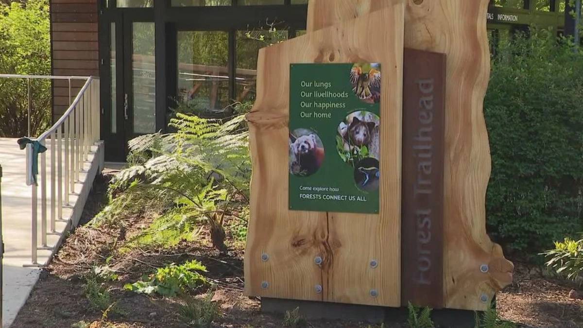 Wooden sculpture with a green poster about forests connecting us all; phrases include 'Our lungs' and 'Our happiness'. Outside a building entrance with a ramp visible to the left.