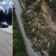 Split-view image: left panel shows a mountain highway with cars and a barrier, right panel shows a rockfall along a roadside amid trees and rocks