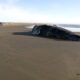 Beached whale carcass on a wide, wet-sand beach with a few people and parked cars in the distance.