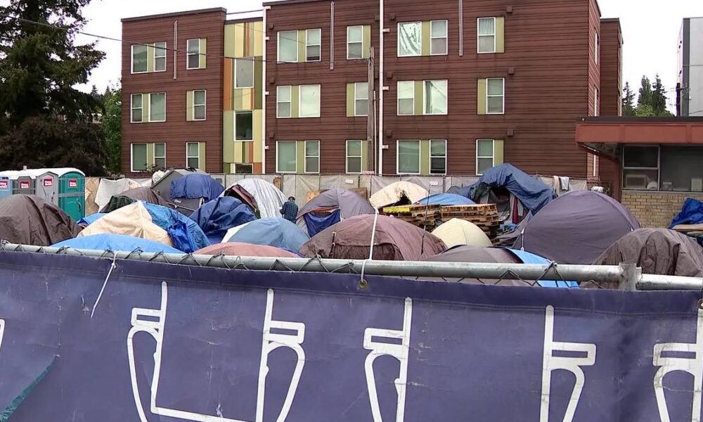 Row of colorful tents and tarps pitched behind a chain-link fence, with portable toilets on the left and a brown multi-story apartment building in the background.